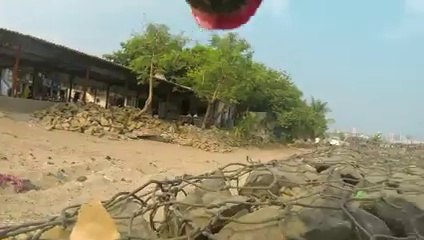 Le quotidien d'un chien errant à Bombay