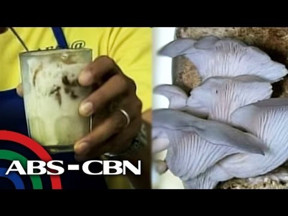Bandila: Have you tried Laguna's 'mushroom con hielo'?