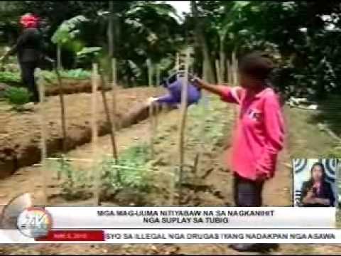 TV Patrol Central Visayas - May 5, 2015