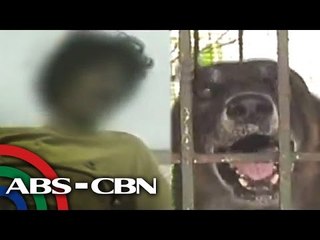 RealiTV: Know how to prevent rabies!