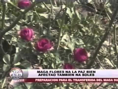 TV Patrol Chavacano - April 9, 2015