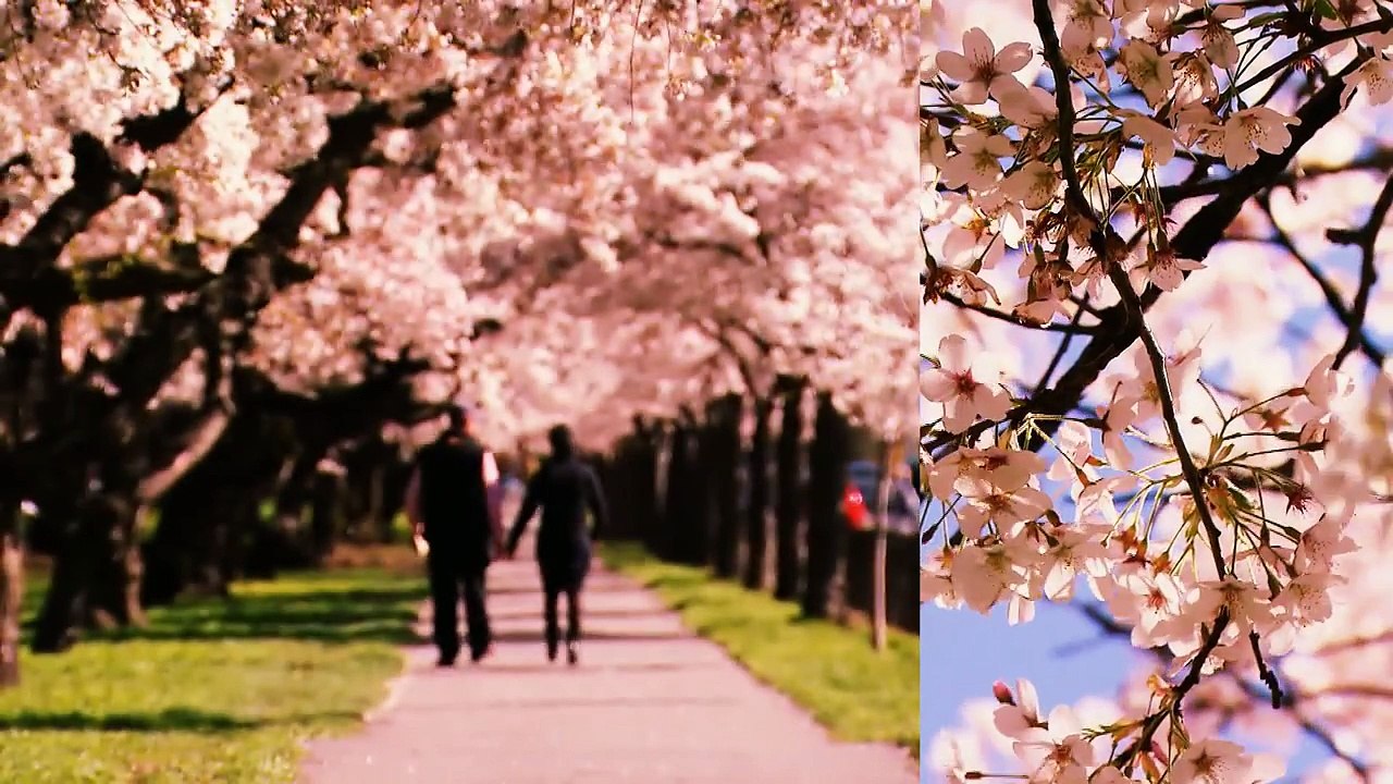 Christchurch & Canterbury, New Zealand - Christchurch & Canterbury Tourism