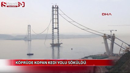 Köprüde kopan kedi yolu söküldü