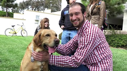 UC Santa Barbara Dog Therapy Day March 2013