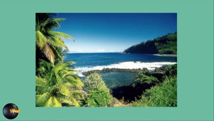 Top 5 Shark attack Beaches