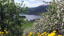 FJORDS Norway - Views from Hardanger