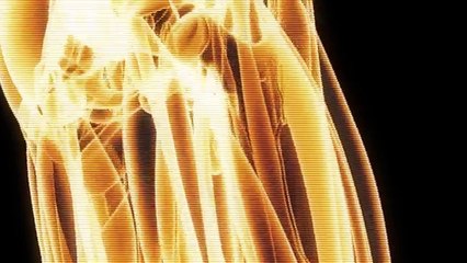 Severe Acute Respiratory Infections Network in the Americas - SARInet