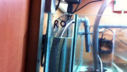 Ecosystems Miracle Mud Refugium