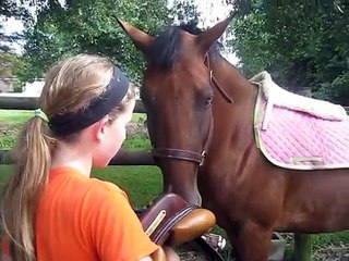 how to tack up a horse english