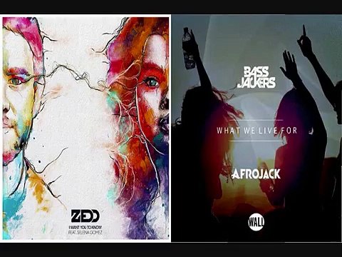 Afrojack & Bassjackers vs Zedd & Selena G - I Want You To Know What We Live For (Hardwell Mashup)