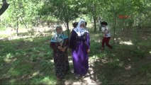 Diyarbakır Mevsimlik Tarım İşçisi 156 Aile, İş Sahibi Oldu