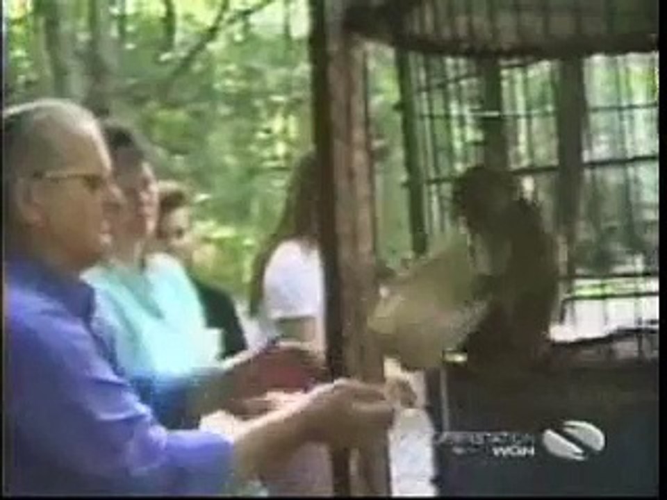 See how Animal catch things from peoples !