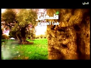 هذا الصباح - الاربعاء 6-5-2015 ج1