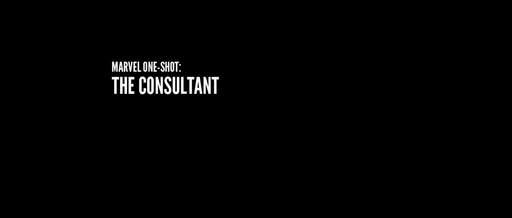 [2011] The Consultant