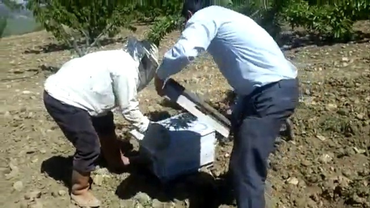 OĞUL3