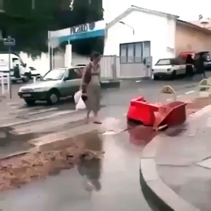 (4) Cut Snake