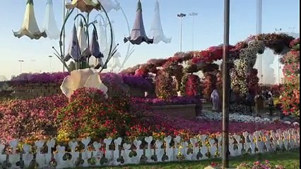 Miracle Garden  Dubai - Colors of Life