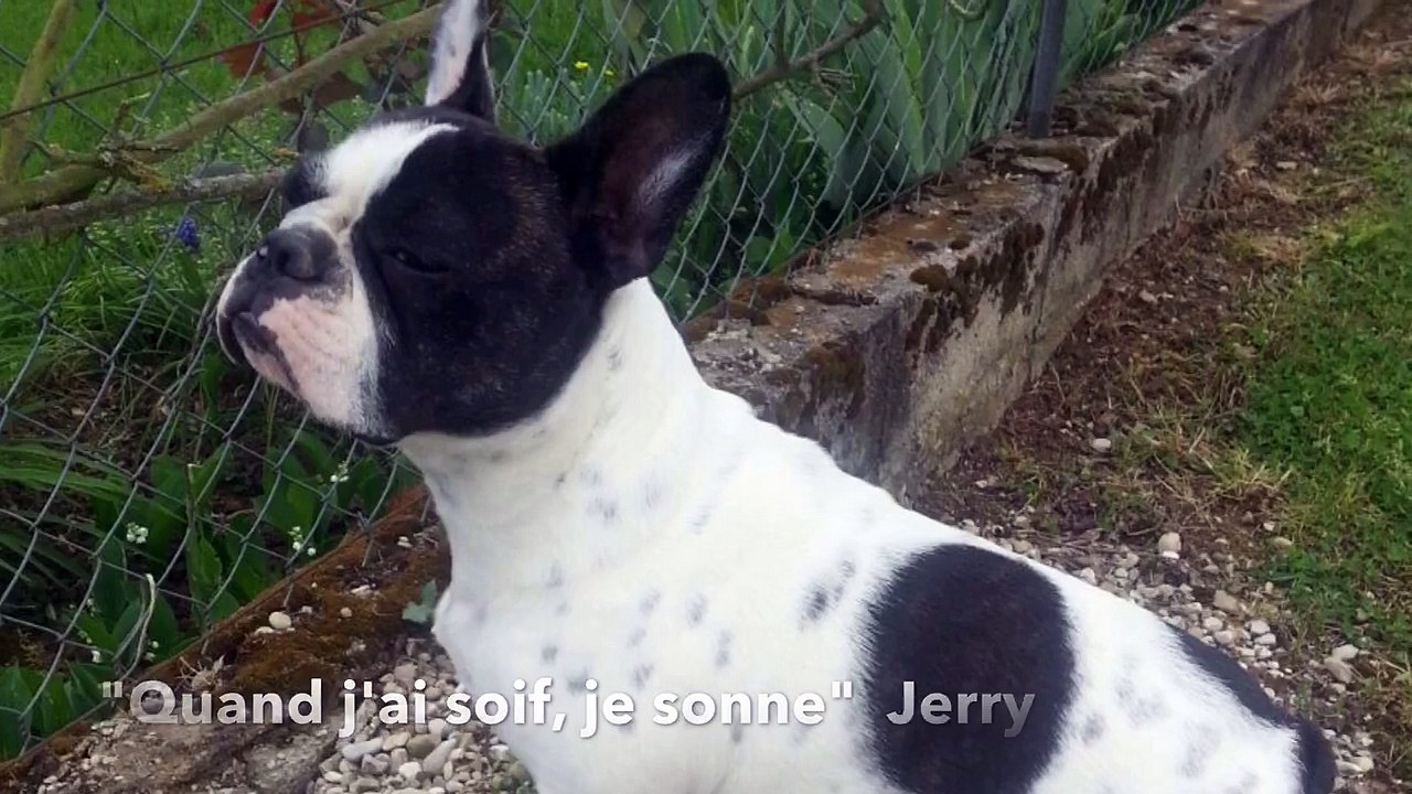 "Quand j'ai soif, je sonne" JERRY