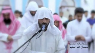 Cure for hearts - Stunning Quran recitation - (2)