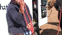 Tying a Horse using a Bank Robber Knot - Tying a Bowline Knot - Rick Gore Horsemanship