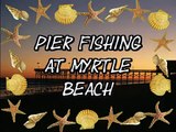 Pier Fishing At Myrtle Beach, Catching Sharks