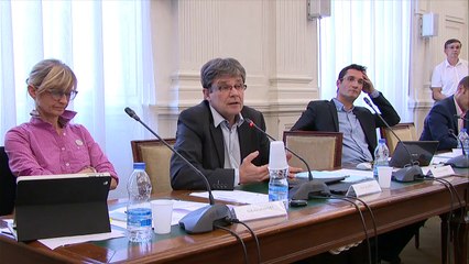 Conseil municipal du 11 mai 2015