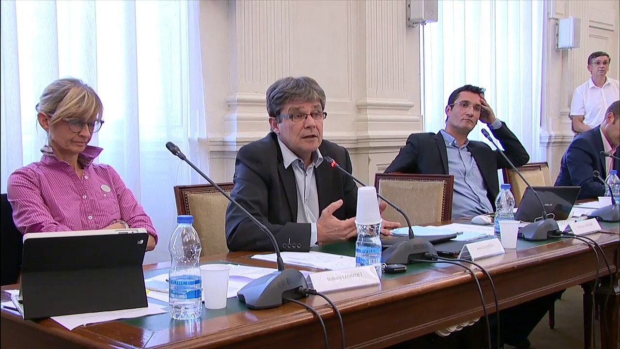 Conseil municipal du 11 mai 2015