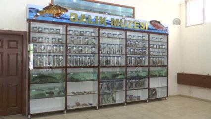 Elazığ'da "Balık Müzesi" Kuruldu