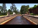 Disneyland Resort Rides Splash Mountain (Front Seat POV) Anaheim California Attraction