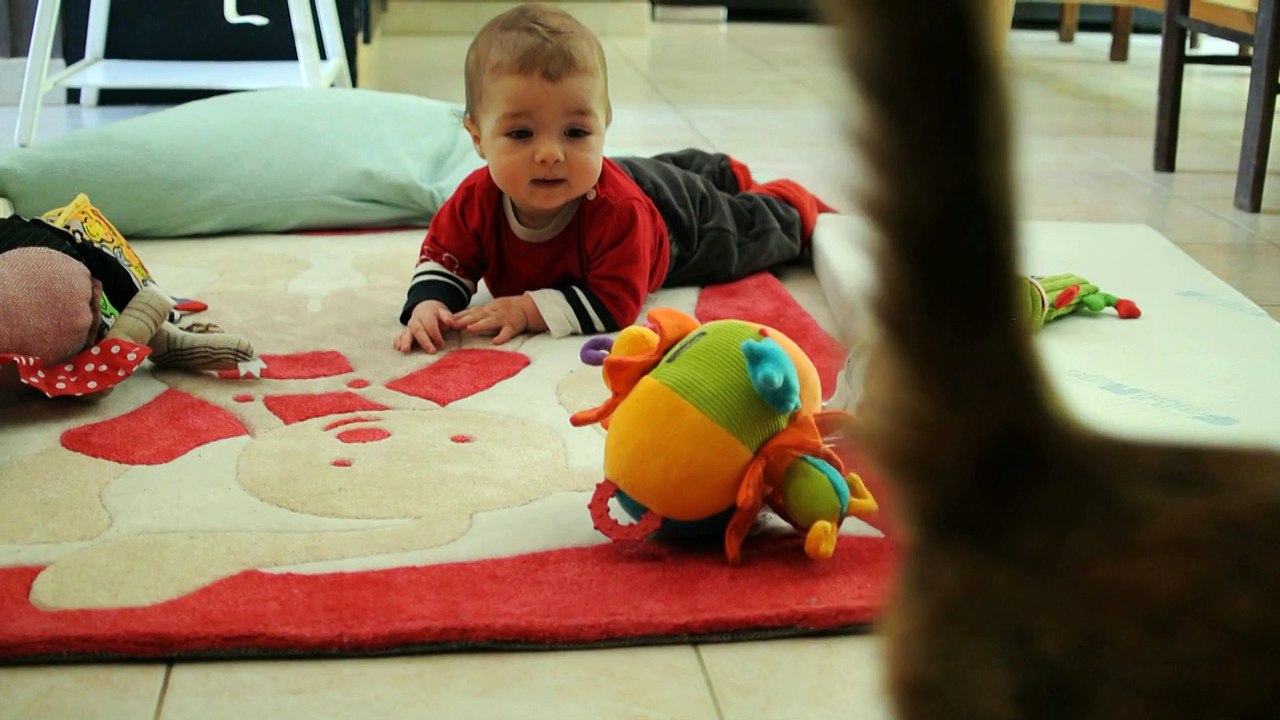 Nono et Pomponette