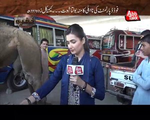 Abb Takk - Khufia - Episode 62 - Camel Mlik