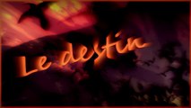 Le destin-Gerard Manset-Cover