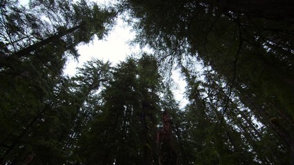 Jaeger-LeCoultre : Les Gardiens