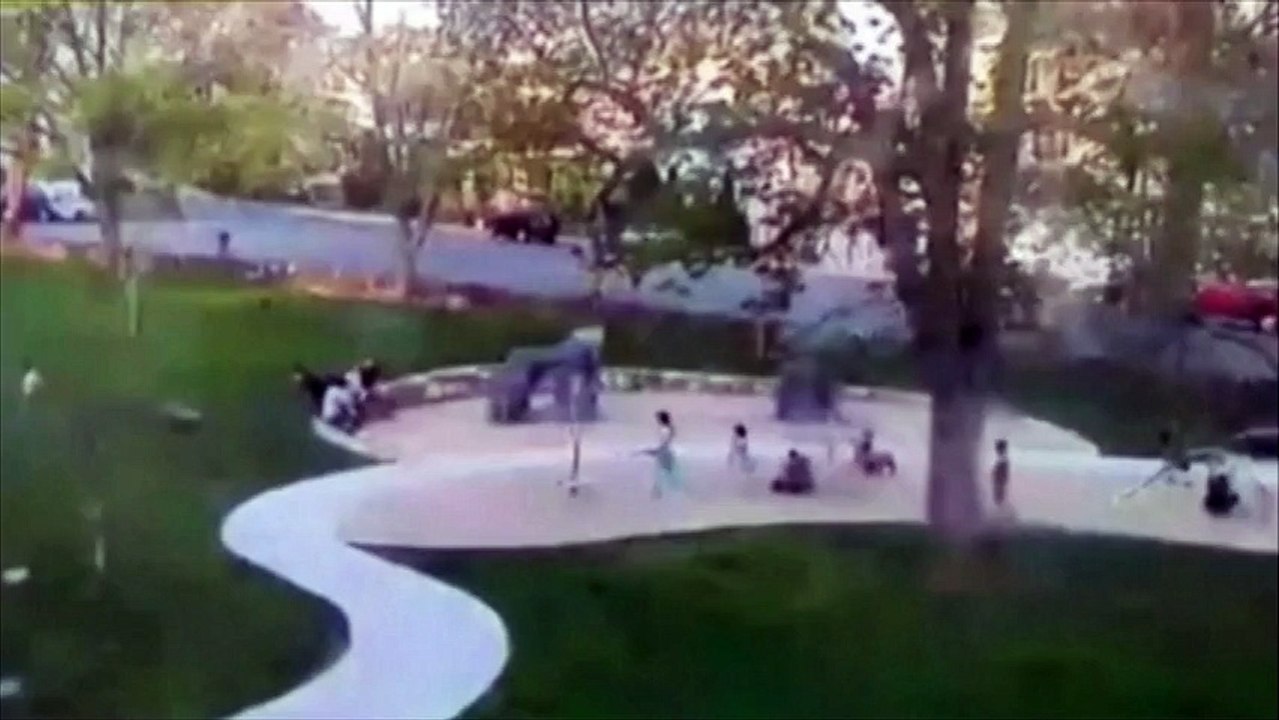 Des enfants écrasés par la chute d'une branche d'arbre