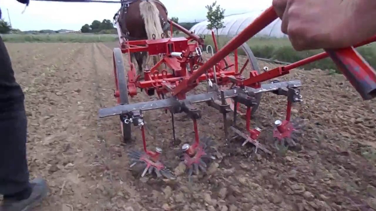 NeoBucher, binage de précision avec des doigts Kress