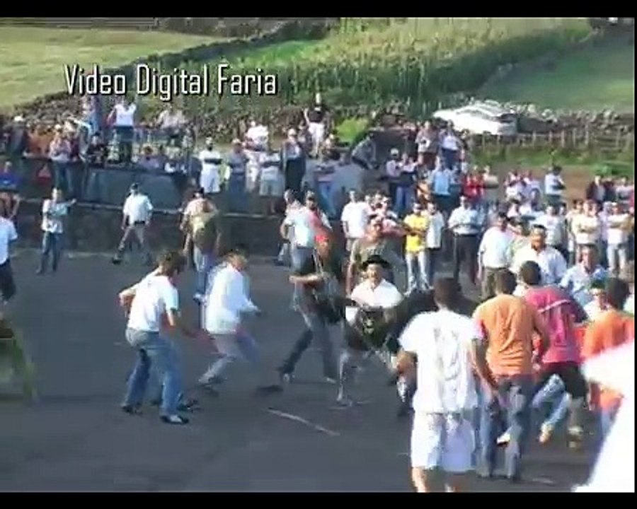 Tourada à corda 2008(1).AVI