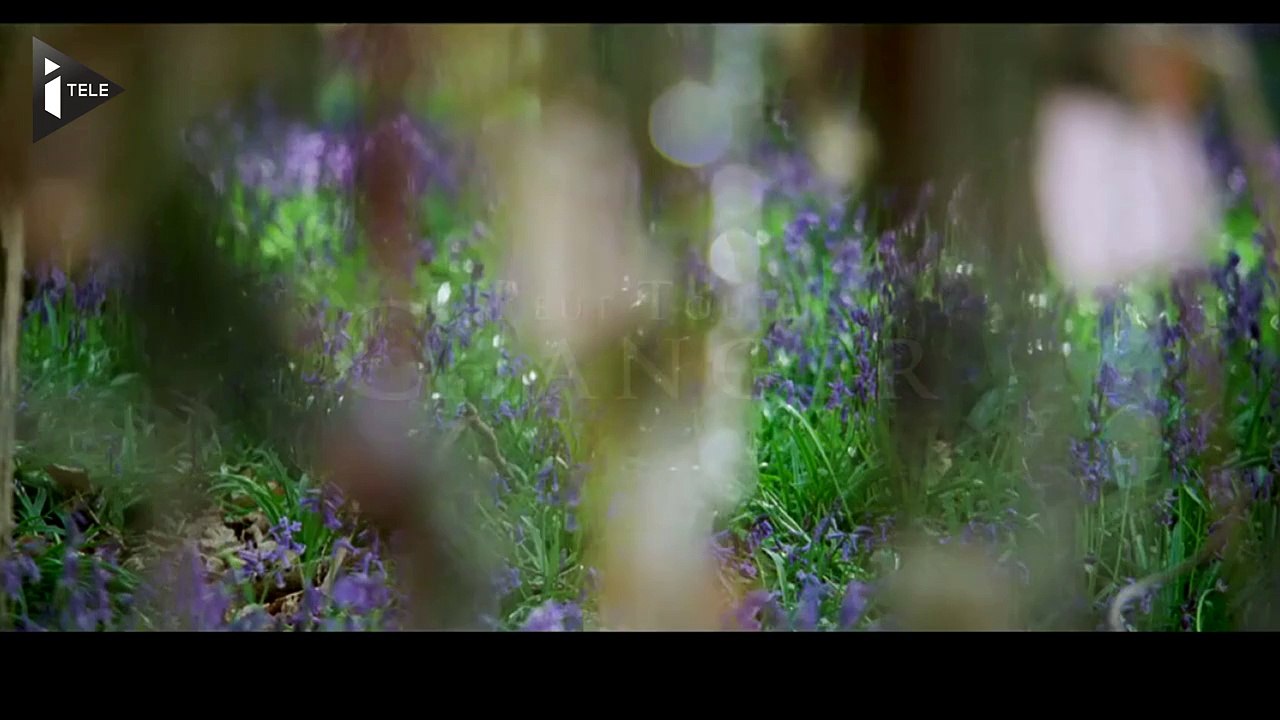 Les jardins du Roi : Kate Winslet à la cour de Louis XIV