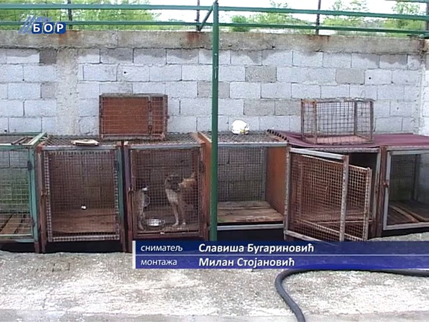 ⁣Strategija smanjenja populacije napuštenih pasa i mačaka na teritoriji opštine Bor, 06. maj 2015. (R