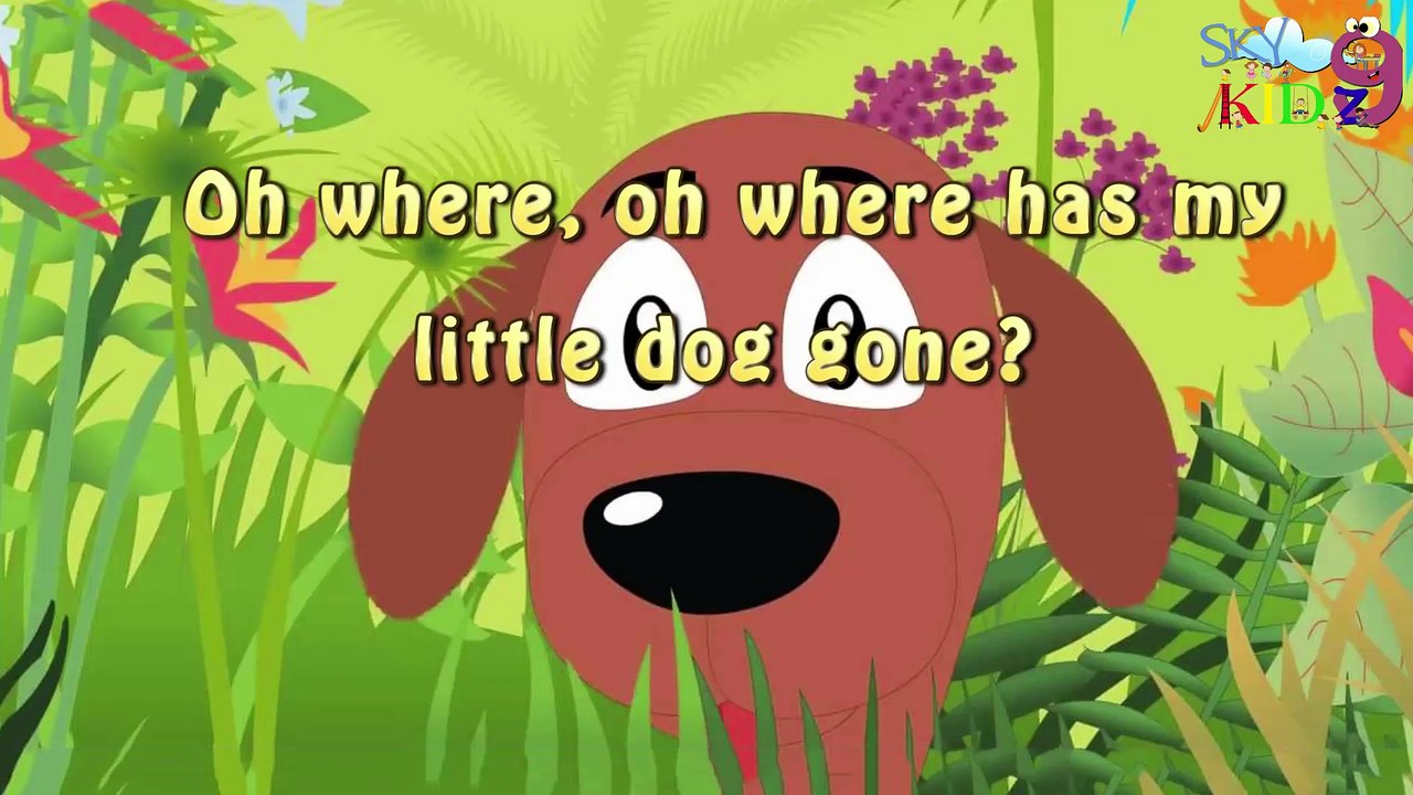 Oh where has my little dog gone  RHYMES