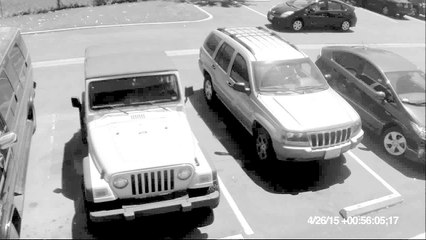 Idosa enfurecida quebra pára-brisas de carro com taco de beisebol