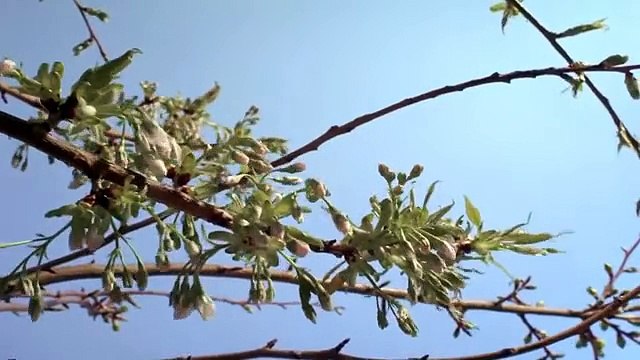 Asma Allah - Beautiful names of Allah - Sami Yusuf - HD - YouTube