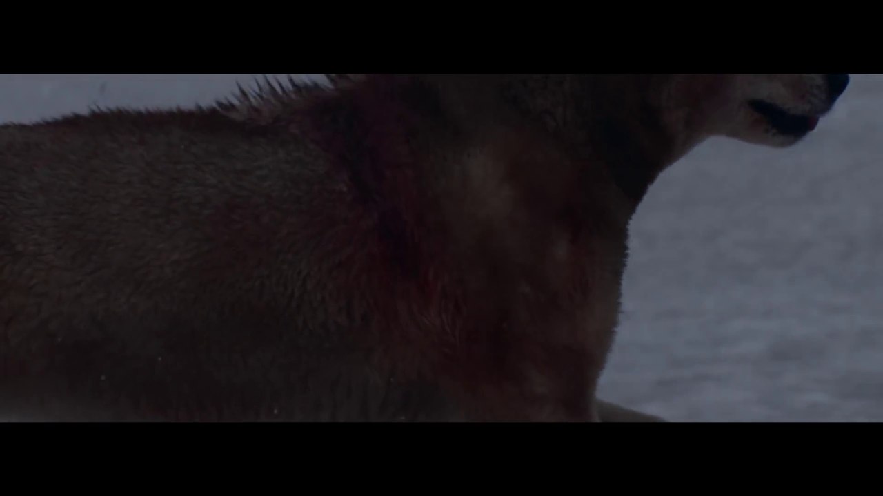 David Guetta Feat Sia - She Wolf (Falling To Pi...