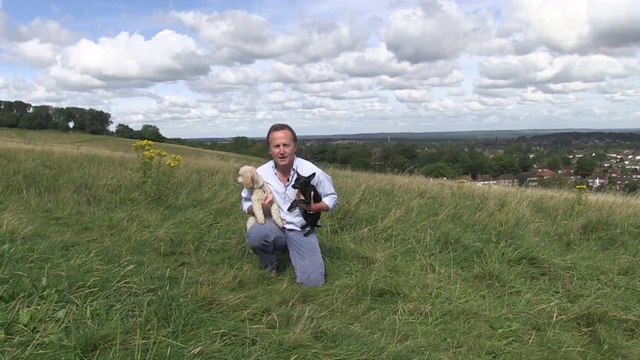 The Pet Detectives. Colin Butcher is the lead investigator for the The Pet Detectives Ltd the only Private Detective Agency in the United Kingdom that specialises in recovering stolen and missing pets and animals