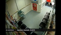 Koala pays late night visit to Australian hospital