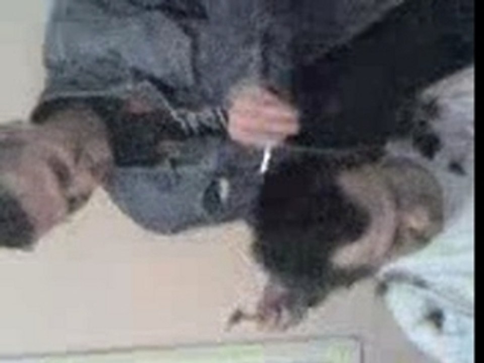 jeje coiffeur amateur en after