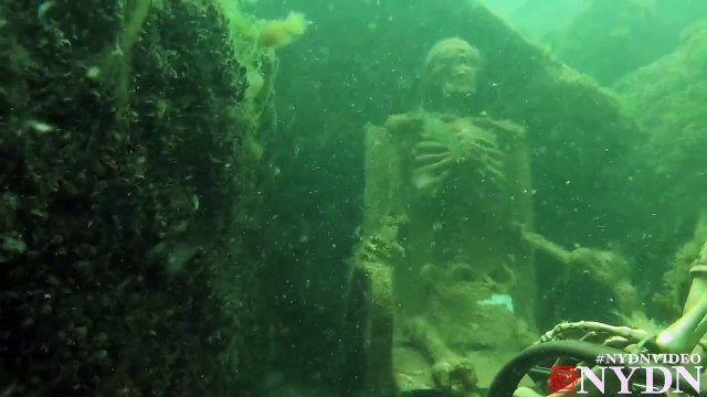 Snorkeler Finds Underwater Skeleton Tea Party