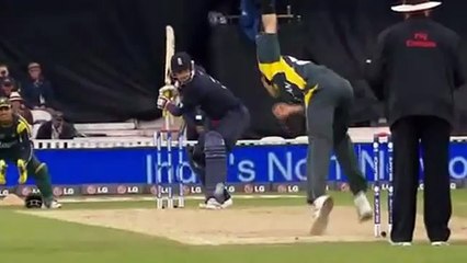 Umar Gul breaks stump into half WORLD CUP 2011 VIDEO BY TAYYAB