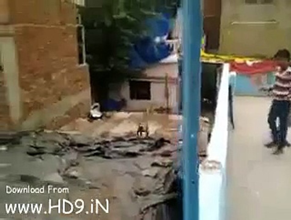 Man slap to monkey funny video
