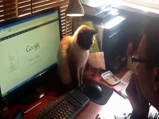 How To Not Get Distracted With Your Computer When Studying