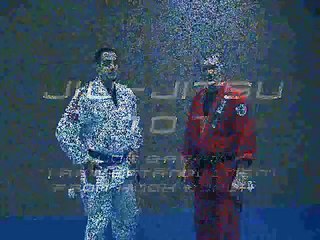 Japanese Jujutsu Technique: Ude Garami